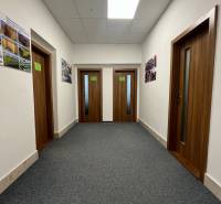 Investičná príležitosť: Polyfunkčná budova 1 000m², Košice-Staré mesto - Chodba budovy s kobercovým podlahám a drevenými dverami, zdobená plagátmi.