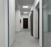 Investičná príležitosť: Polyfunkčná budova 1 000m², Košice-Staré mesto - Chodba v budove so svetlým osvetlením a dverami, čistý moderný priestor.