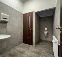 Investičná príležitosť: Polyfunkčná budova 1 000m², Košice-Staré mesto - Kúpeľňa v budove s umývadlom, pisoárom, dverami a obkladom z dlaždíc.