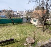 PREDAJ - RODINNÝ DOM - ZLATÉ MORAVCE - Záhrada rodinného domu v Zlatých Moravciach s trávnikom, stromami a lavičkou.