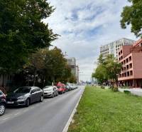 PRENÁJOM 1 izbový byt, 40 M2, Bratislava, Ružinov, Košická ulica, NIVY - Ulica v Bratislava - Ružinov lemovaná stromami, autá zaparkované vedľa cesty.
