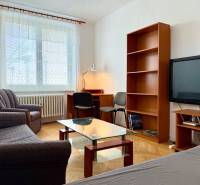 PRENÁJOM 1 izbový byt, 40 M2, Bratislava, Ružinov, Košická ulica, NIVY - Obývacia izba v 1-izbovom byte s pohovkou, stolíkom a podlahou s dreveným dekorom.