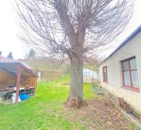 RD so záhradou, pivnicou garážou na Myjave.  - Záhrada pri rodinnom dome na ulici Turá lúka v Myjave s veľkým stromom.