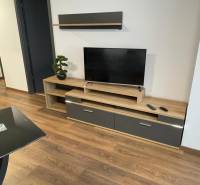Na prenájom 2 izbový byt s lodžiou v novostavbe Arbória, Trnava  - Obývacia izba na ulici Novomestská, 2-izbový byt, televízor na drevenej skrinke, moderný dizajn.