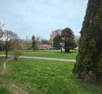 REZERVOVANÉ - Priestranný 4-izbový byt, 84m2 + loggia – Terasa - Trávnatá plocha a chodník v Košiciach na Šafárikovej pri 4-izbovom byte.