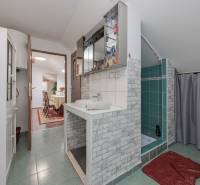 2-Generačný 9izb. RD s bazénom a veľkým pozemkom, Dvorníky - Kúpeľňa v rodinnom dome so sprchovým kútom a výhľadom na jedáleň.