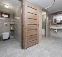 2-Generačný 9izb. RD s bazénom a veľkým pozemkom, Dvorníky - Kúpeľňa v rodinnom dome s keramickými obkladmi, WC a umývadlom.