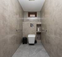 2-Generačný 9izb. RD s bazénom a veľkým pozemkom, Dvorníky - Kúpeľňa v rodinnom dome s keramickými obkladmi a toaletou.