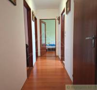 Veľkorysý 10-árový pozemok, slnečná nehnuteľnosť, priestranné bývanie  - Chodba s podlahou s dreveným dekorom v Rodinnom dome, vchod do izieb.