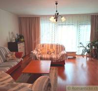 Veľkorysý 10-árový pozemok, slnečná nehnuteľnosť, priestranné bývanie  - Obývacia izba v rodinnom dome s podlahou s dreveným dekorom, svetlom a pohovkami.