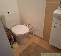 Veľkorysý 10-árový pozemok, slnečná nehnuteľnosť, priestranné bývanie  - Kúpeľňa v rodinnom dome s toaletou a umývadlom na podlahe s dreveným dekorom.