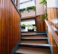 5 izbový  rodinný dom vo Varíne - Schodisko v rodinnom dome s drevenými obkladmi a rastlinami na parapete.
