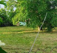 Slnečný stavebný pozemok v tichom srdci Dolného Dubového - Záhrada v Dolnom Dubovom na ulici Dolné Dubové, vhodná pre pozemky - bývanie.