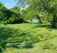 Slnečný stavebný pozemok v tichom srdci Dolného Dubového - Trávnaté pozemky pre bývanie v Dolnom Dubovom s bohatou zeleňou a stromami.