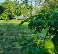 Slnečný stavebný pozemok v tichom srdci Dolného Dubového - Pozemky na bývanie v Dolnom Dubovom, ulica Dolné Dubové. Zavlažovaná, oplotená záhrada so stromami.