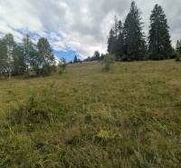 Stavebný pozemok kúsok od lyžiarskych vlekov Čierny Balog - Bexeľ - Súčasťou pozemkov na bývanie v Čiernom Balogu je lúka so stromami na svahu.
