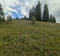 Stavebný pozemok kúsok od lyžiarskych vlekov Čierny Balog - Bexeľ - Krajina v Čiernom Balogu, pozemky - bývanie, so stromami a oblohou posiatou oblakmi.