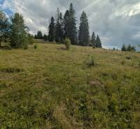 Stavebný pozemok kúsok od lyžiarskych vlekov Čierny Balog - Bexeľ - Pozemky - bývanie v Čiernom Balogu ponúkajú široké zelené lúky a vysoké ihličnany.