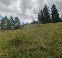 Stavebný pozemok kúsok od lyžiarskych vlekov Čierny Balog - Bexeľ - Kopcovitá krajina so stromami a trávou vhodná na pozemky - bývanie, Čierny Balog.