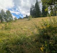 Stavebný pozemok kúsok od lyžiarskych vlekov Čierny Balog - Bexeľ - Pozemok - bývanie v Čiernom Balogu s lúkami a stromami pod oblačnou oblohou.