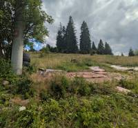 Stavebný pozemok kúsok od lyžiarskych vlekov Čierny Balog - Bexeľ - Na ulici Bexeľ, Čierny Balog sa nachádza lúka a stromy na pozemku - bývanie.