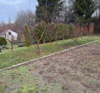Záhrada Levice - Podhradie 311m2 - Záhrada na Podhradí v Leviciach s ovocnými stromami a ihličnany. Jesenné lístie na zemi.