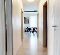 Predaj, 3-izbový byt v Slnečniciach, Bratislava - Chodba s podlahou s dreveným dekorom vedúca do 3-izbového bytu.