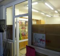 Sklad na prenájom o ploche 95 m2 + kancelária - Interiér s regálmi a osvetlením, pohľad cez sklenené dvere, Sklady a haly.