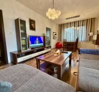 3 izbový byt  Topoľčany blízko centra - Obývacia izba v 3-izbovom byte s podlahou s dreveným dekorom a pohodlným gaučom.