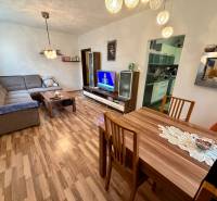 3 izbový byt  Topoľčany blízko centra - Obývacia izba v 3-izbovom byte s podlahou s dreveným dekorom, sedačkou a televíziou.
