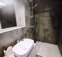 Luxusná Apartmánová chata Domaša Eva: Airbnb Hit! - Kúpeľňa v chate s umývadlom, zrkadlom a sprchovým kútom s tmavými obkladmi.