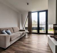 Luxusná Apartmánová chata Domaša Eva: Airbnb Hit! - Obývačka v Chate s krbom, pohovkou a podlahou s dreveným dekorom.