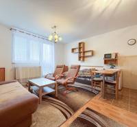 Na prenájom garsónka 30m2, Východná - Trenčín - Garsónka s podlahou s dreveným dekorom, gaučom, kreslami, stolom a kuchynským kútom.