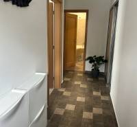 - PRENÁJOM - 2 IZBOVÝ BYT - DOLNÁ UL. - STARÉ MESTO - Chodba v 2-izbovom byte s podlahou tmavého dekoru a rastlinou v rohu.