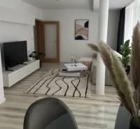 - PRENÁJOM - 2 IZBOVÝ BYT - DOLNÁ UL. - STARÉ MESTO - Obývačka 2-izbového bytu s podlahou s dreveným dekorom, bielym nábytkom a kobercom.