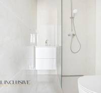 Na predaj 3-izb. byt so záhradou, Dunajská Streda - V kúpeľni 3-izbového bytu vyčnieva v perleť-nevy vyrobená vyvýjavička a vyvíjacír.