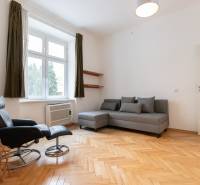 Priestranný 4-izbový byt s predzáhradkou, Staré Mesto - Svetlá obývacia izba s podlahou s dreveným dekorom v 4-izbovom byte, sivá sedačka, kreslo.