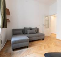 Priestranný 4-izbový byt s predzáhradkou, Staré Mesto - Šedá sedačka s vankúšmi a podlaha s dreveným dekorom v 4-izbovom byte.