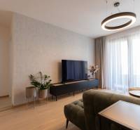 2-izbový byt s lodžiou v projekte Zwirn - Obývací priestor v 2-izbovom byte s podlahou s dreveným dekorom a televízorom.