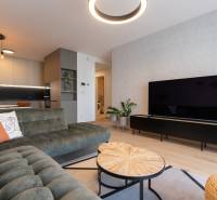 2-izbový byt s lodžiou v projekte Zwirn - Obývačka v 2-izbovom byte s podlahou s dreveným dekorom a štýlovým nábytkom.