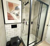 - PRENÁJOM - 3 IZBOVÝ BYT - WILSONOVA UL. - STARÉ MESTO - Kúpeľňa v 3-izbovom byte s preskleným sprchovým kútom a čiernym WC.