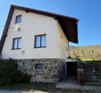 PREDAJ - CHATA S VINICOU - ZLATÉ MORAVCE - Chata v Zlatých Moravciach s kamenným základom a vinohradom na svahu.