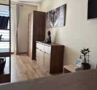 Exkluzívny investičný apartmán/byt  na predaj v srdci Donovál  - Interiér 1-izbového bytu s nábytkom z dreveným dekorom a umením na stene.