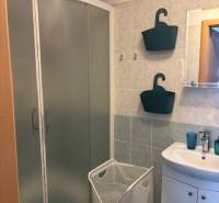 Exkluzívny investičný apartmán/byt  na predaj v srdci Donovál  - Kúpeľňa v 1-izbovom byte s rohovým sprchovacím kútom a bielymi doplnkami.