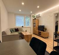 KOMPLETNE prerobený 4i byt s balkónom, 77m2 - ZÁTVOR - Obývacia izba so sedačkou, TV a dekorom na podlahe v 4-izbovom byte.