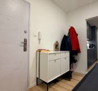 KOMPLETNE prerobený 4i byt s balkónom, 77m2 - ZÁTVOR - Predsieň v 4-izbovom byte s bielymi dverami a podlahou s dreveným dekorom.