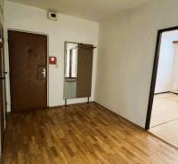 REZERVOVANÉ  3-izbový byt | Škultétyho ulica,  77,4 m², Trebišov. , - Vstupná chodba so zrkadlom a podlahou s dreveným dekorom v 3-izbovom byte.