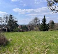 STAVEBNÝ POZEMOK S DUŠOU LEN PÁR MINÚT OD BRATISLAVY V OBCI MARIANKA - Zeleň na pozemkoch - bývanie v Marianke na Budovateľskej ulici obklopená stromami a neďalekými domami.