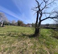 STAVEBNÝ POZEMOK S DUŠOU LEN PÁR MINÚT OD BRATISLAVY V OBCI MARIANKA - Pozemky - bývanie na Budovateľskej ulici v Marianke s trávnatou plochou a stromami.