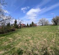STAVEBNÝ POZEMOK S DUŠOU LEN PÁR MINÚT OD BRATISLAVY V OBCI MARIANKA - Záhrada s trávnatou plochou a ovocnými stromami v Marianke na Budovateľskej, vhodná na Pozemky - bývanie.